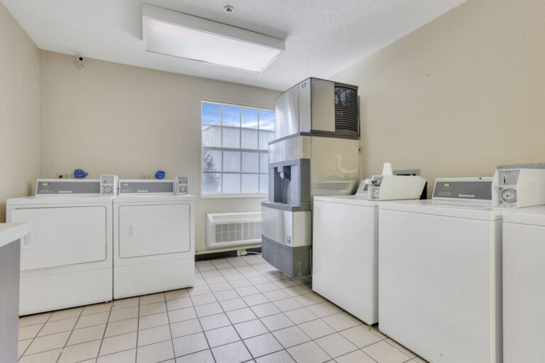 15 web or mls 0V3A8182 768x512